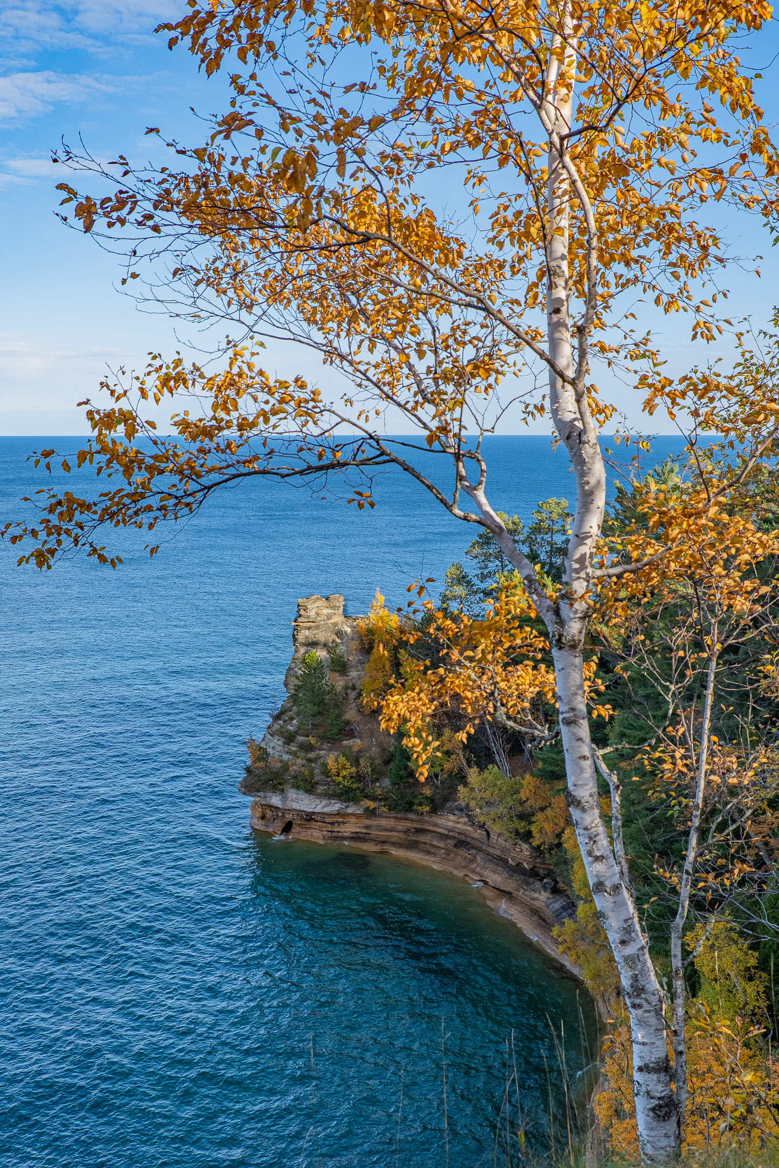 Miners Castle Birch